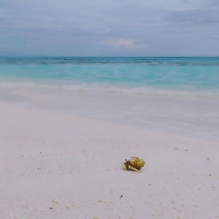Bougan Villea Retreat Bodufolhudhoo 外观 照片